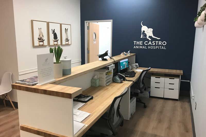Castro Animal Hospital