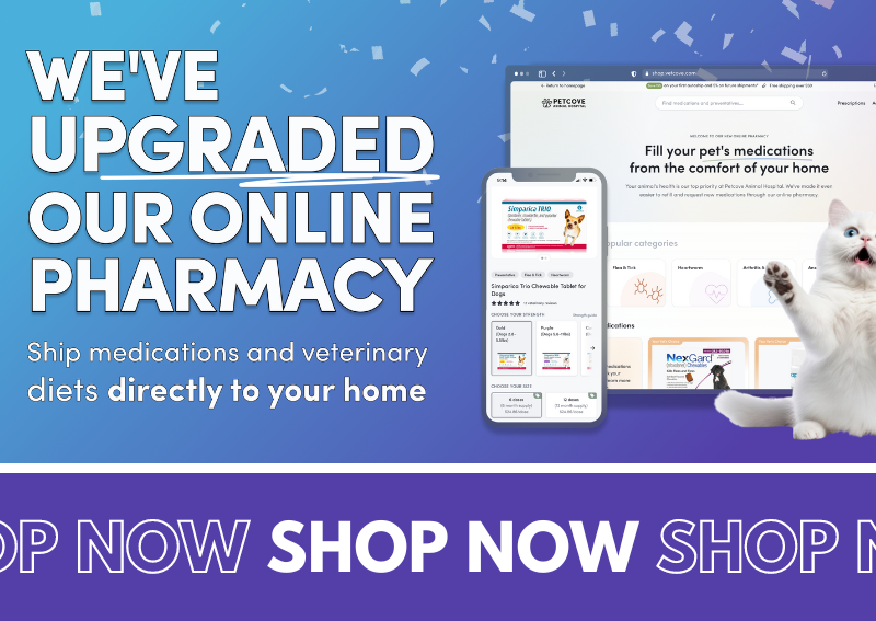 Carousel Slide 2: Shop Our Online Pharmacy