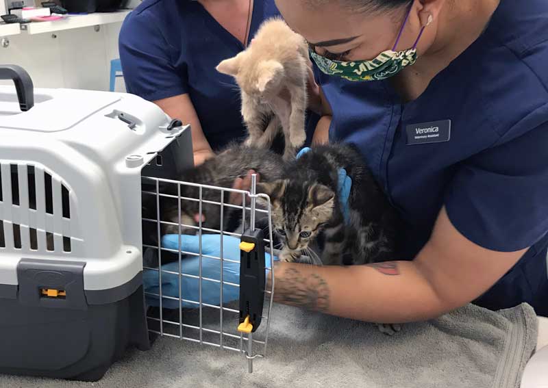 Carousel Slide 5: Join our team!