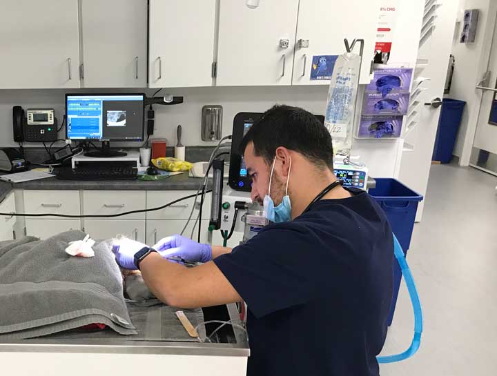 Preventive Dental Care